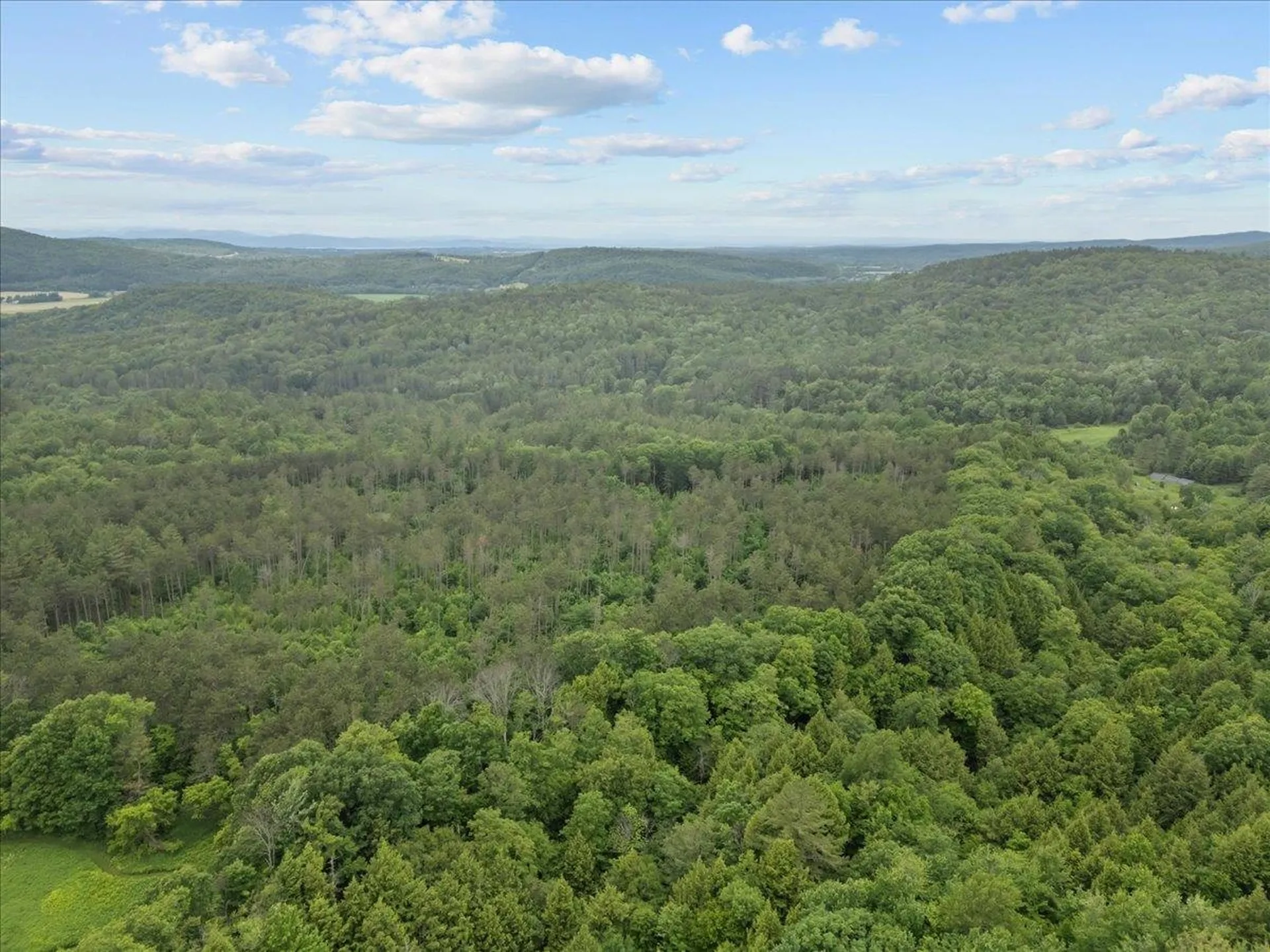 91 Governor Peck Road Jericho VT 05465