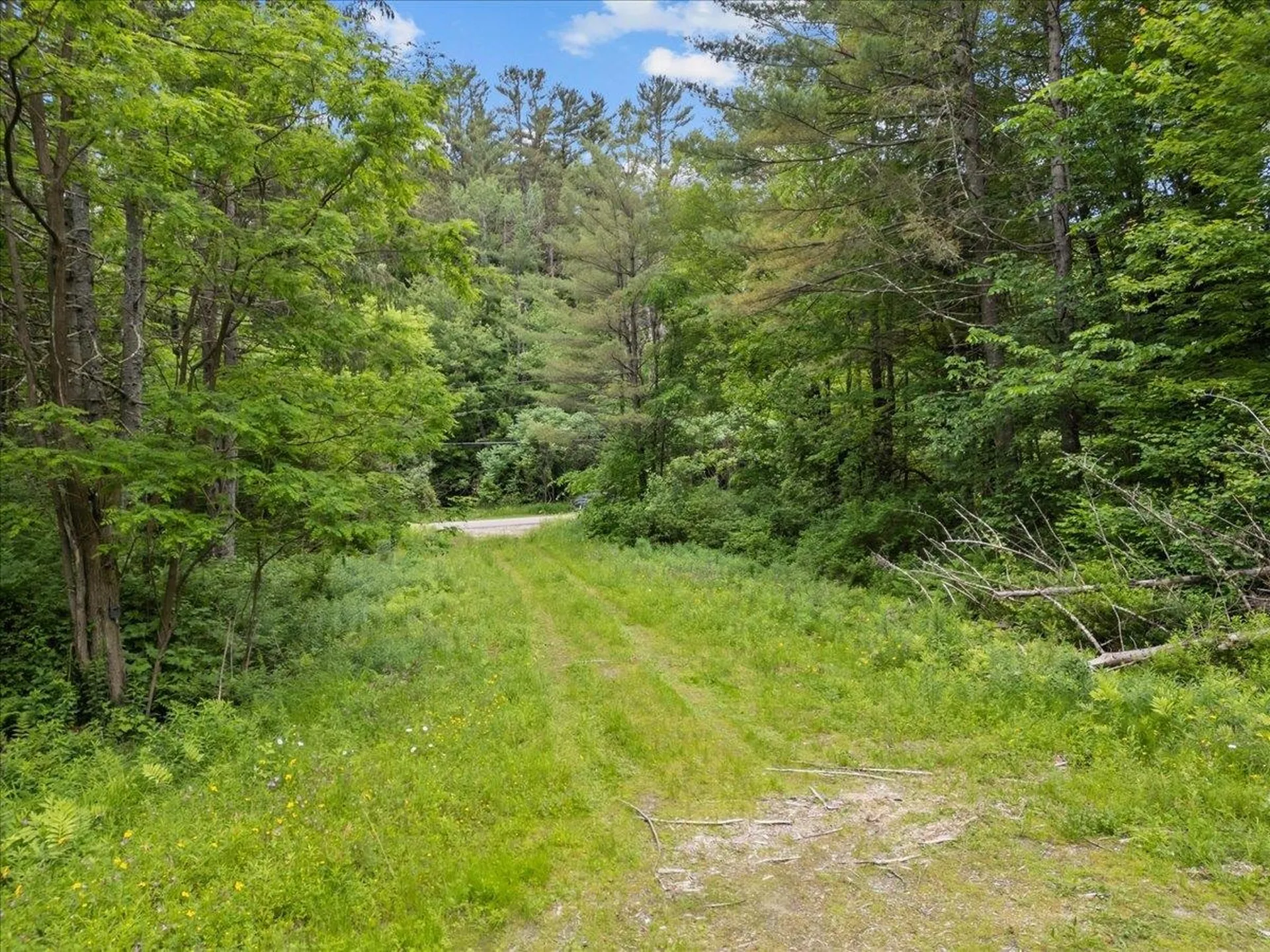 91 Governor Peck Road Jericho VT 05465