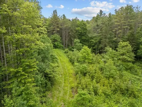 91 Governor Peck Road Jericho VT 05465