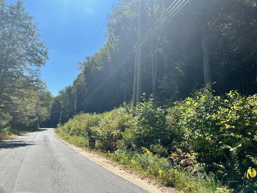 Stoney Brook Road Springfield NH 03284