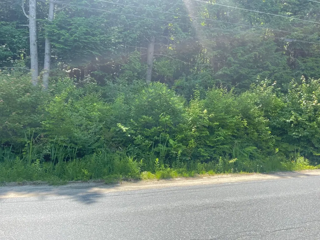 Stoney Brook Road Springfield NH 03284