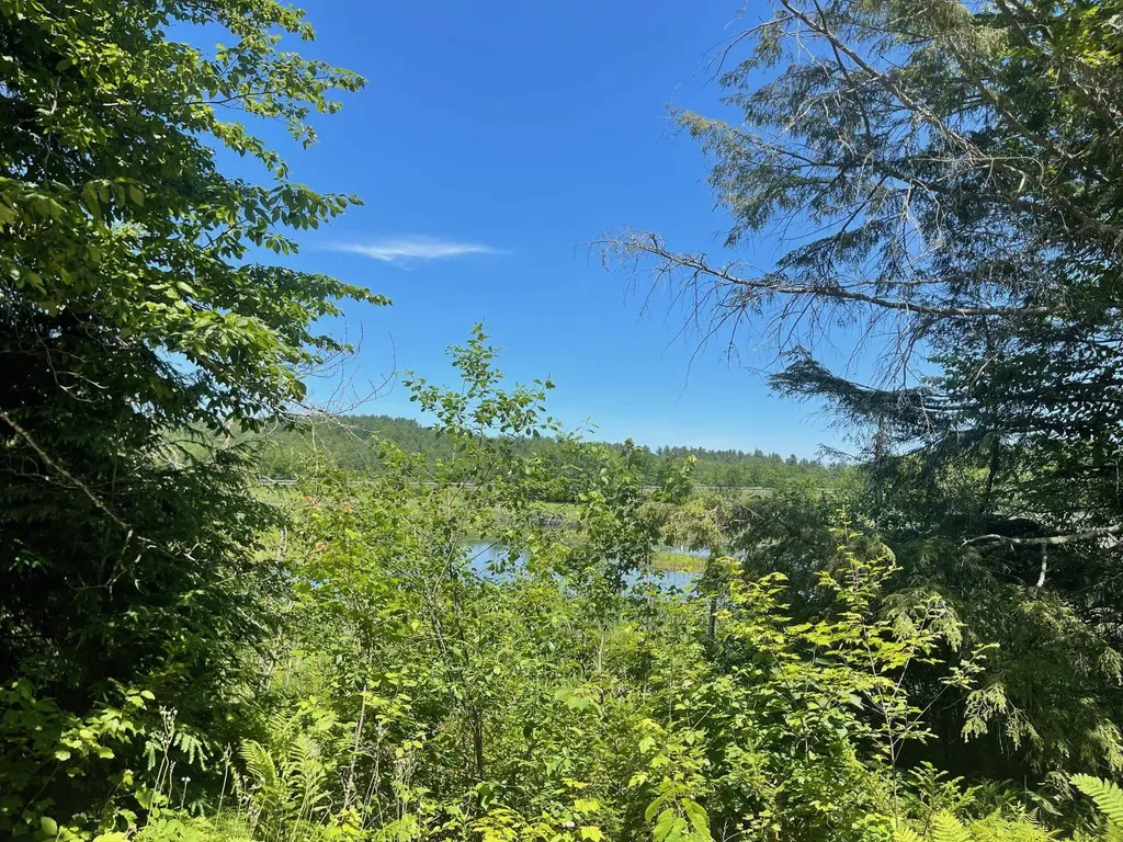 Stoney Brook Road Springfield NH 03284