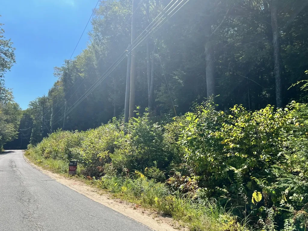 Stoney Brook Road Springfield NH 03284