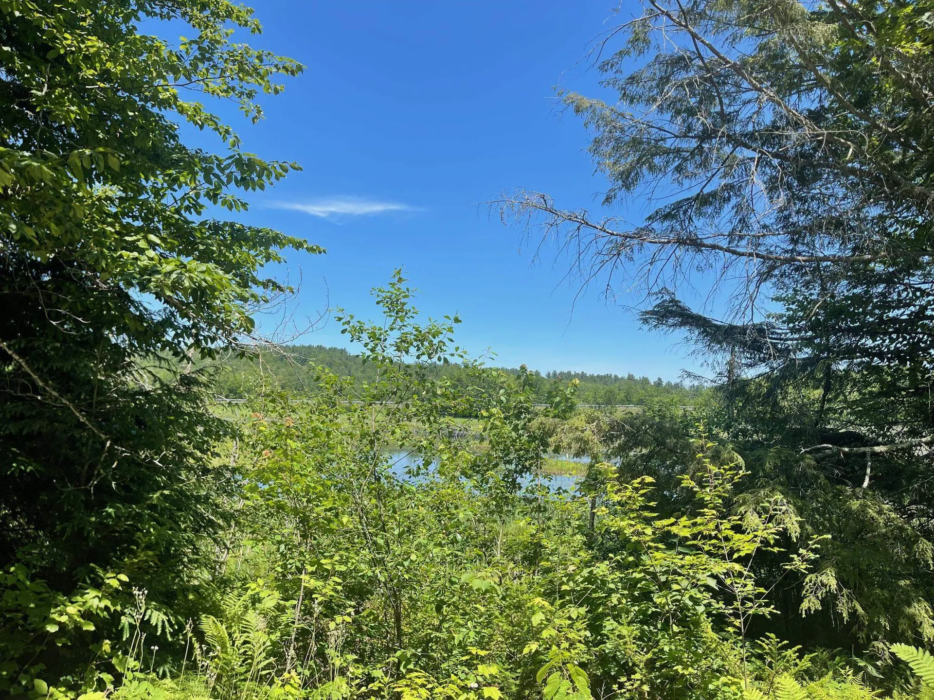 Stoney Brook Road Springfield NH 03284