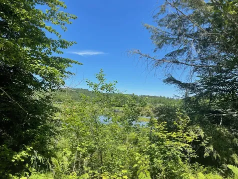 Stoney Brook Road Springfield NH 03284