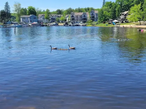 556 Weirs Boulevard Laconia NH 03246