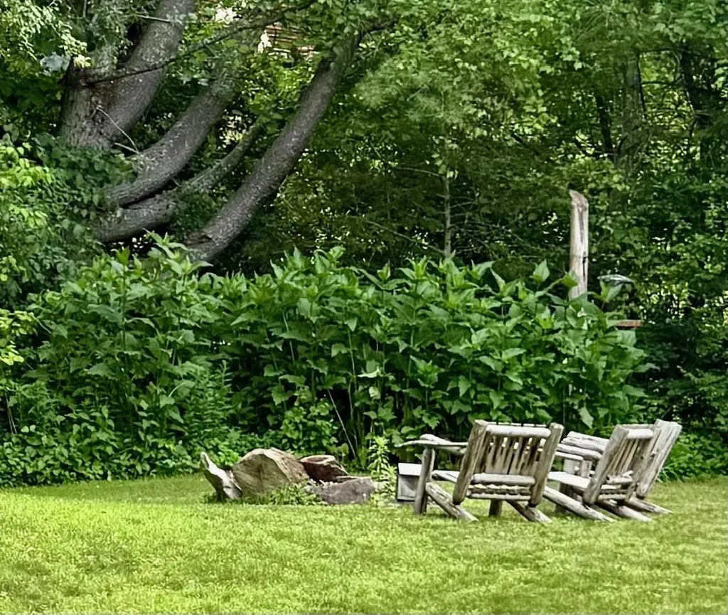 64 Gleason Farm Lane Jamaica VT 05343