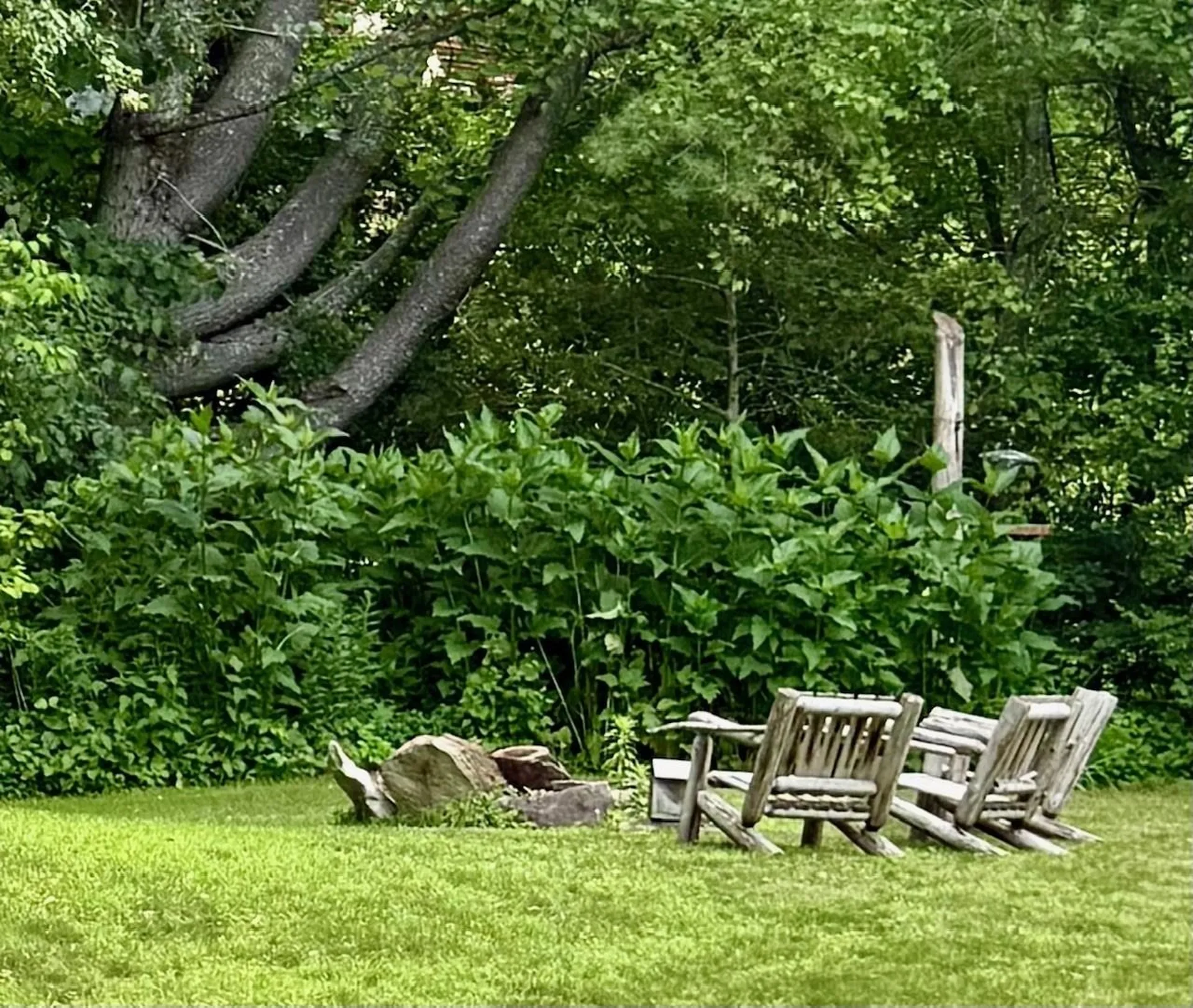 64 Gleason Farm Lane Jamaica VT 05343