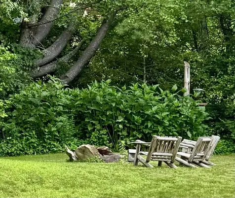 64 Gleason Farm Lane Jamaica VT 05343