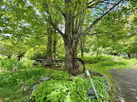 119 Main Street Putney VT 05346