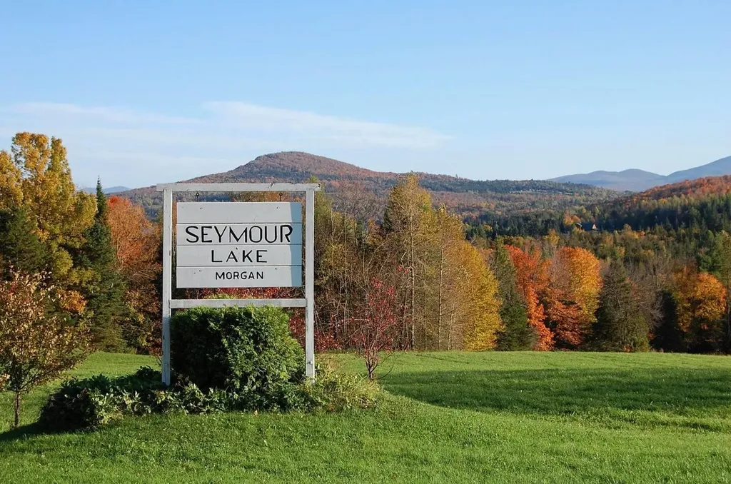 670 Wayeeses Shore Road Morgan VT 05853