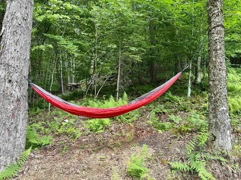 670 Wayeeses Shore Road Morgan VT 05853