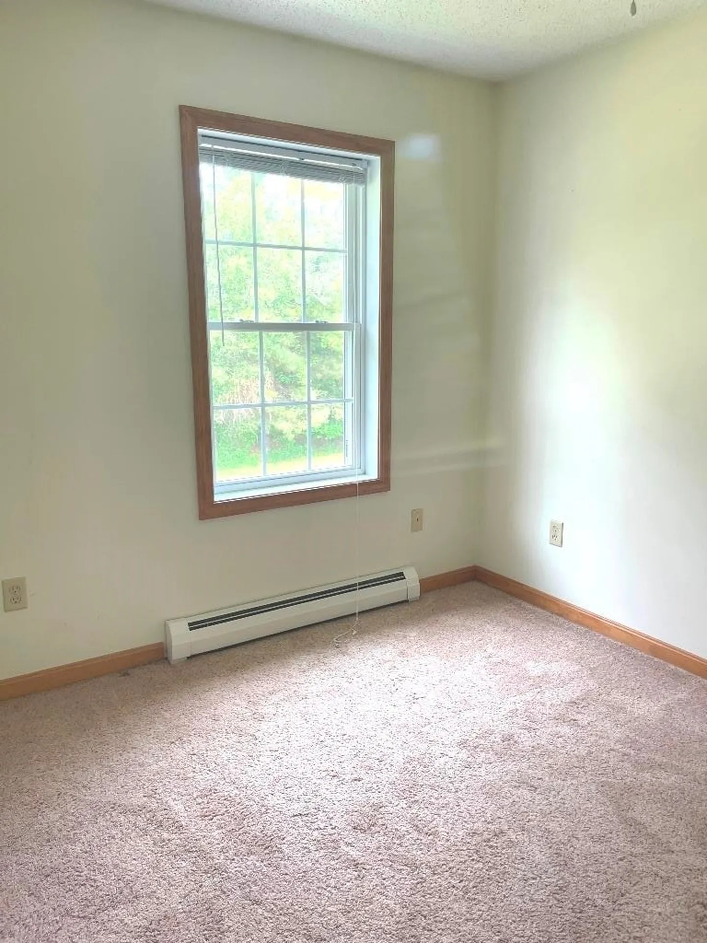 9 Crate Lane Canaan NH 03741