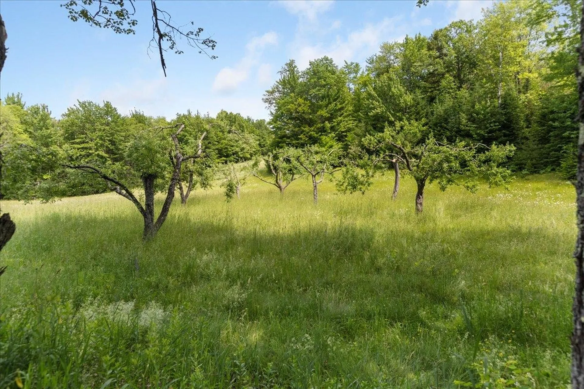 985 Slate Ledge Road Littleton NH 03561