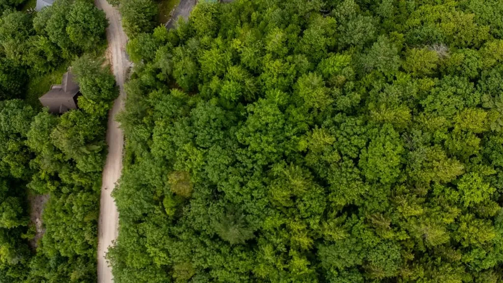 44 Regent Hill Road Conway NH 03818