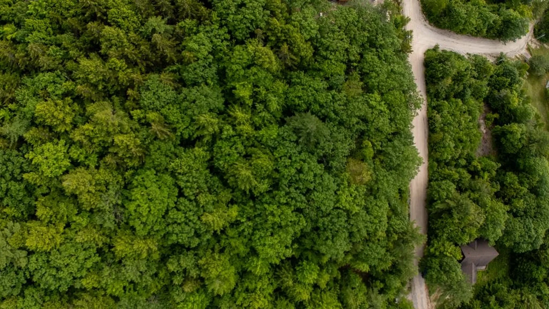 44 Regent Hill Road Conway NH 03818