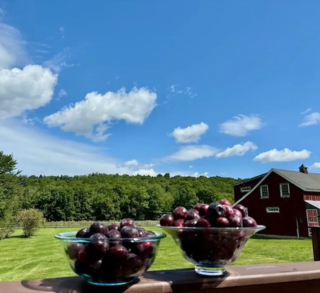 3236 Weston-andover Road Andover VT 05143