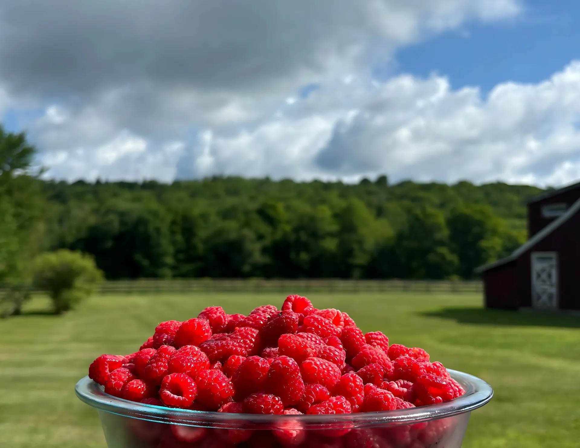 3236 Weston-andover Road Andover VT 05143