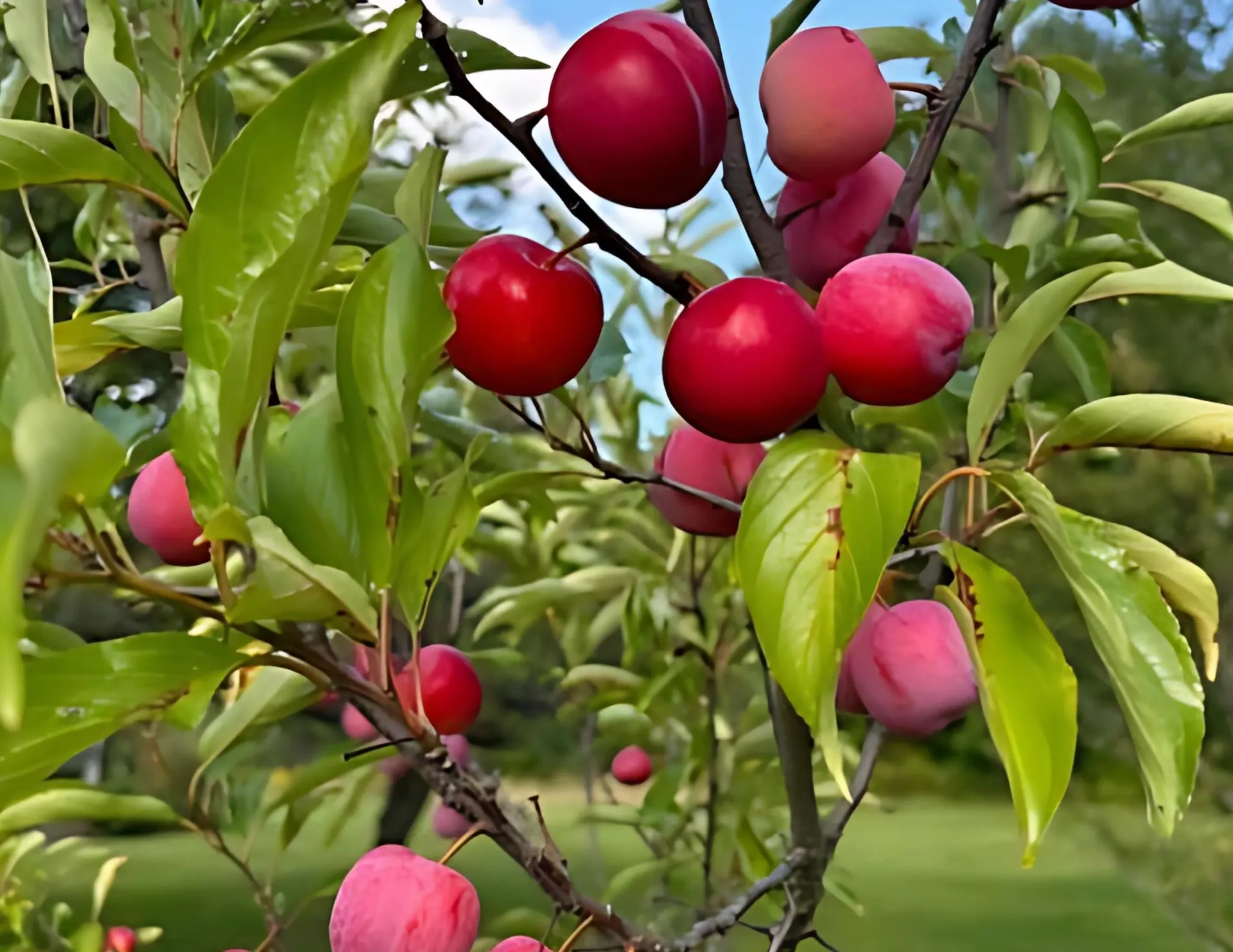 3236 Weston-andover Road Andover VT 05143