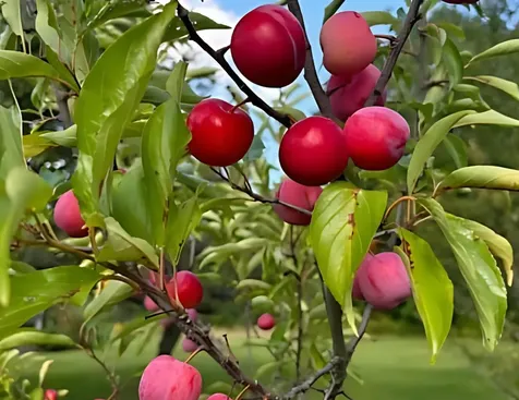 3236 Weston-andover Road Andover VT 05143