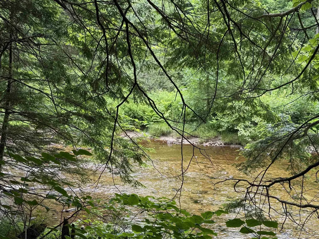 191 Pingree Park Lane Londonderry VT 05148