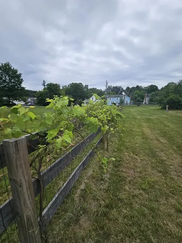 174 Cleveland Avenue Shaftsbury VT 05262