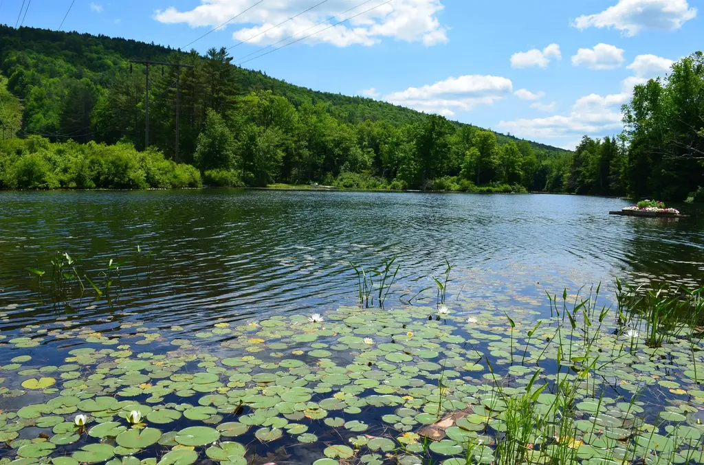 42 Harrison Lane Ludlow VT 05149