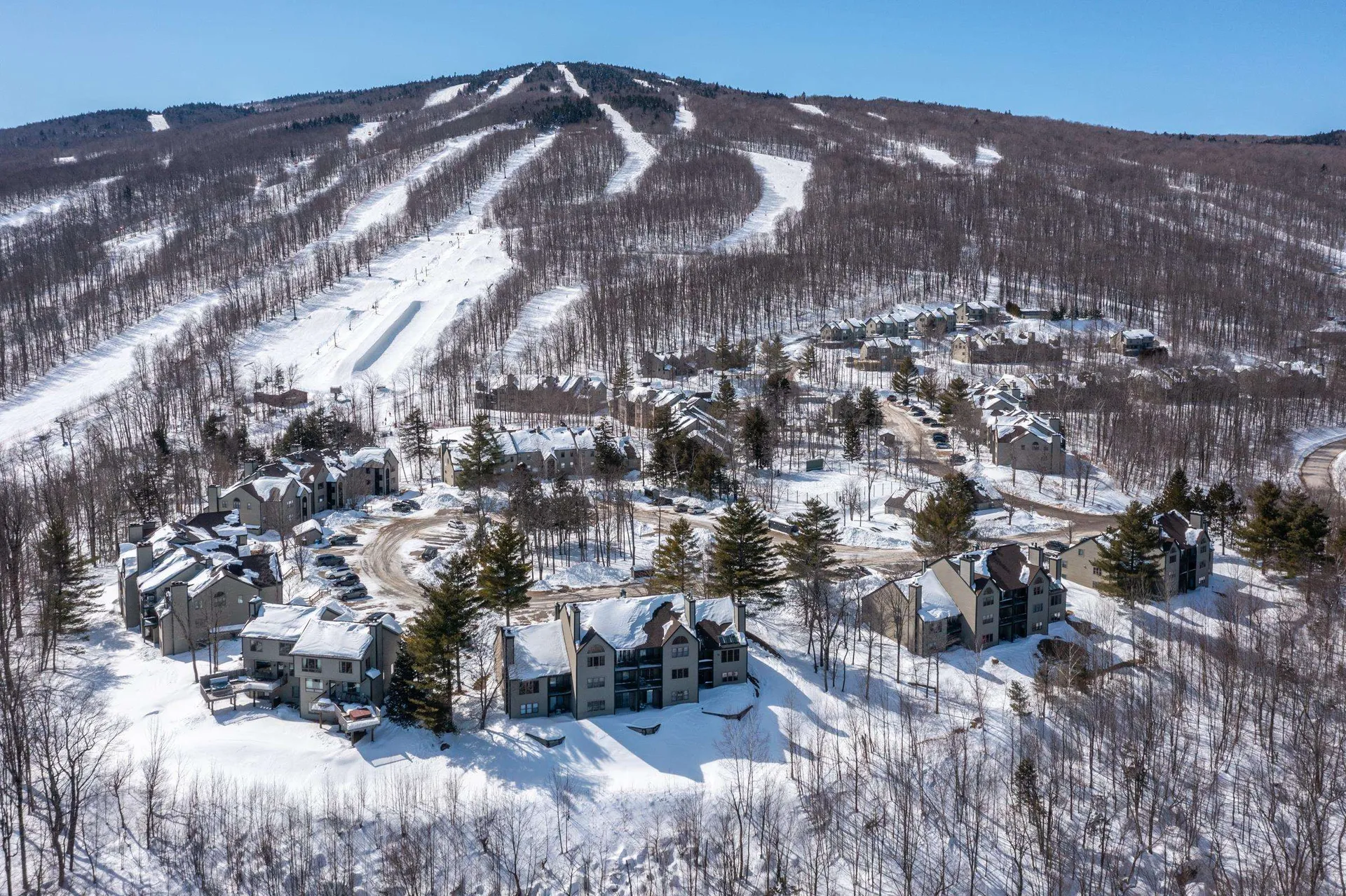 42 Harrison Lane Ludlow VT 05149