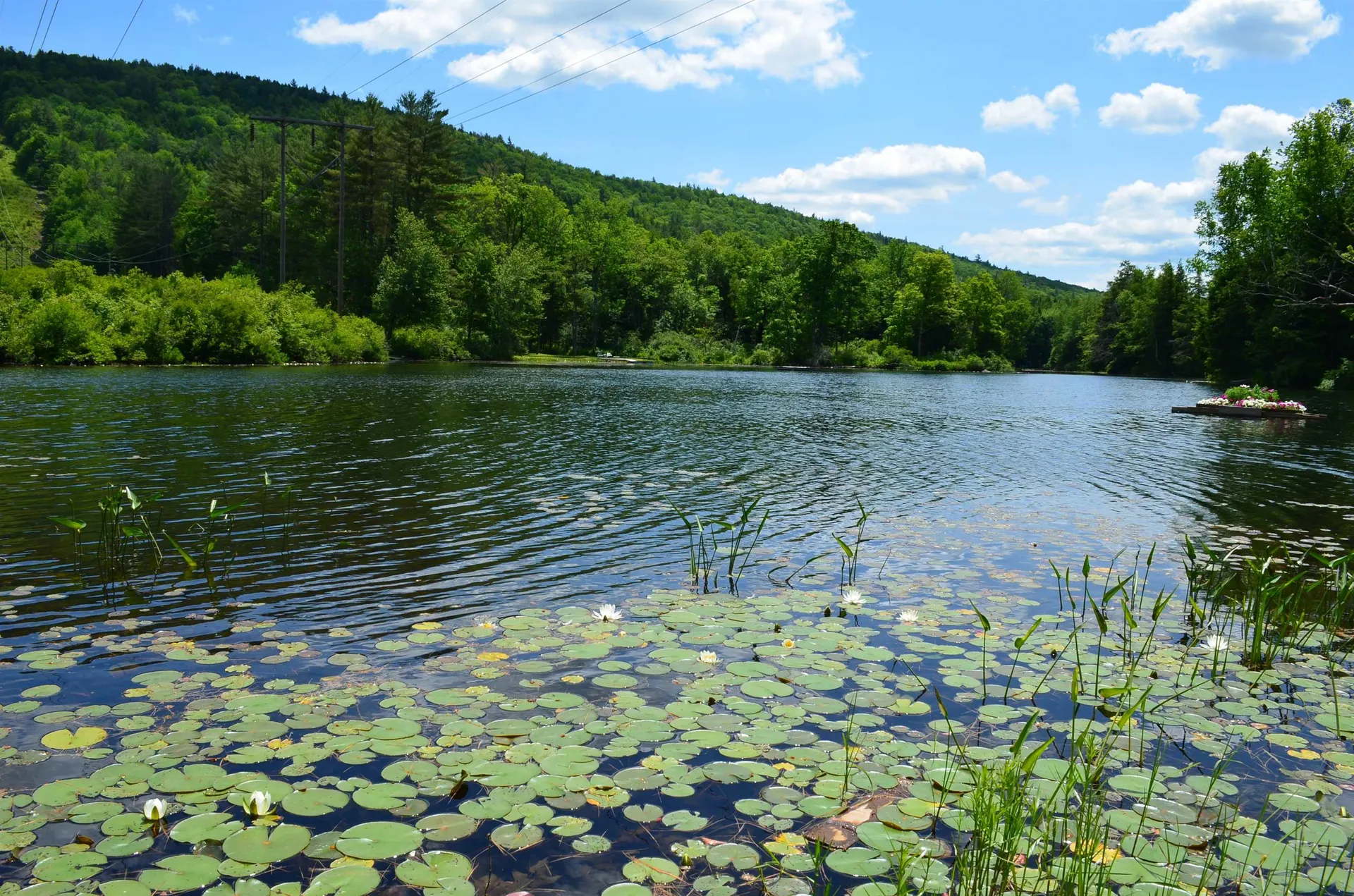 42 Harrison Lane Ludlow VT 05149