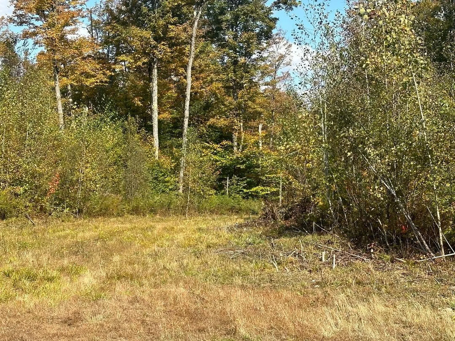 0 Brookview Lane Wolcott VT 05680