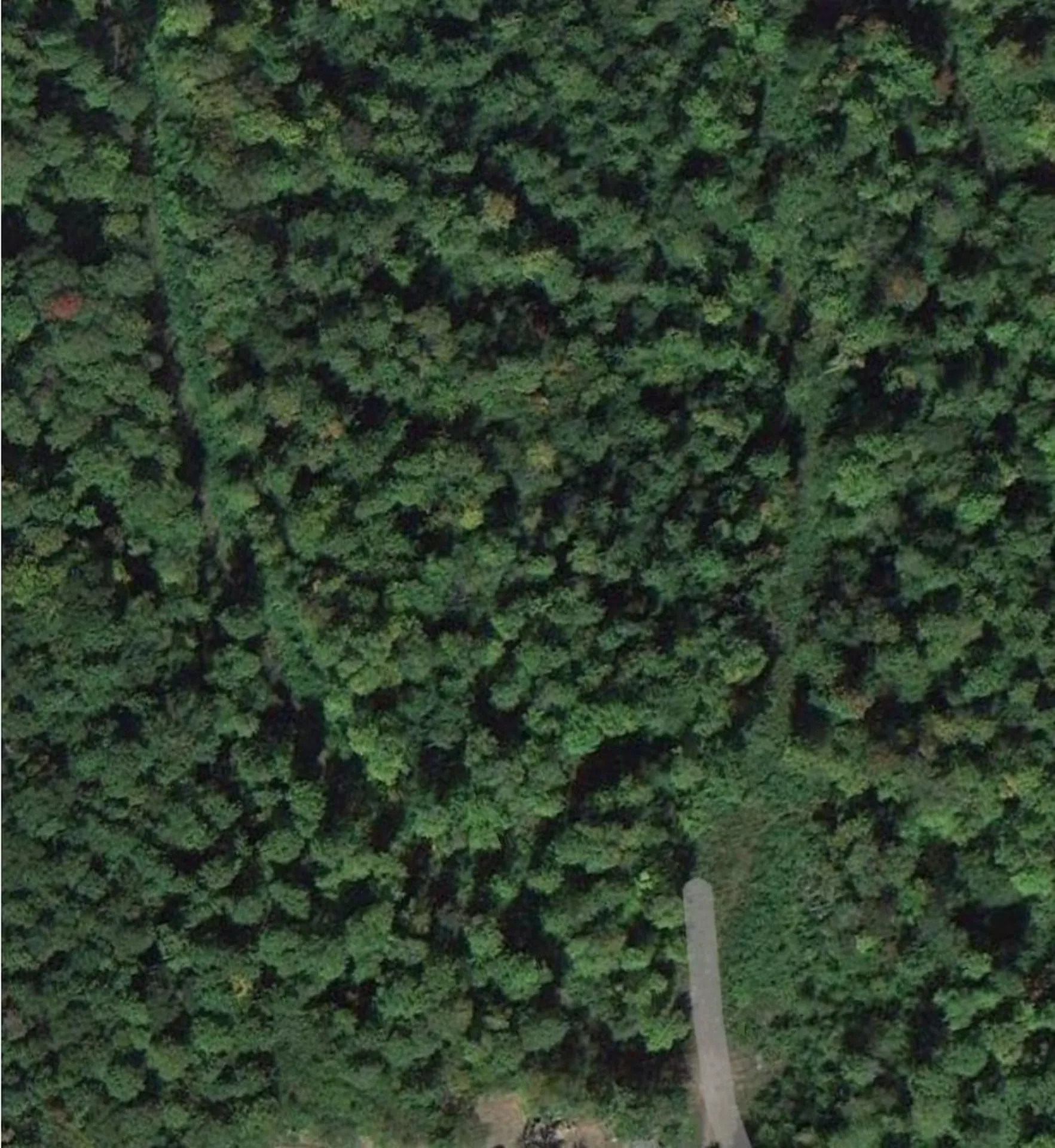 0 Brookview Lane Wolcott VT 05680