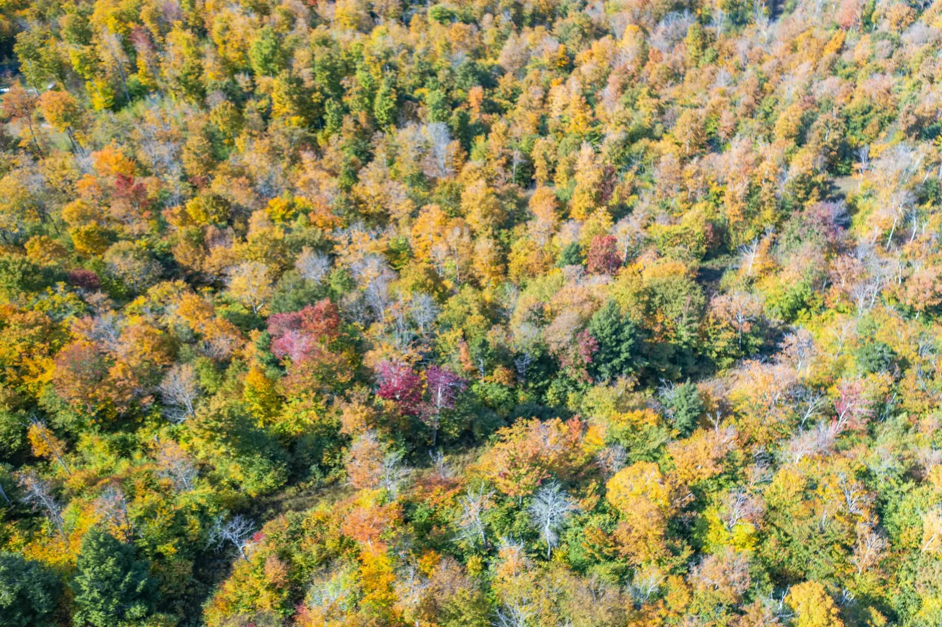 0 Brookview Lane Wolcott VT 05680