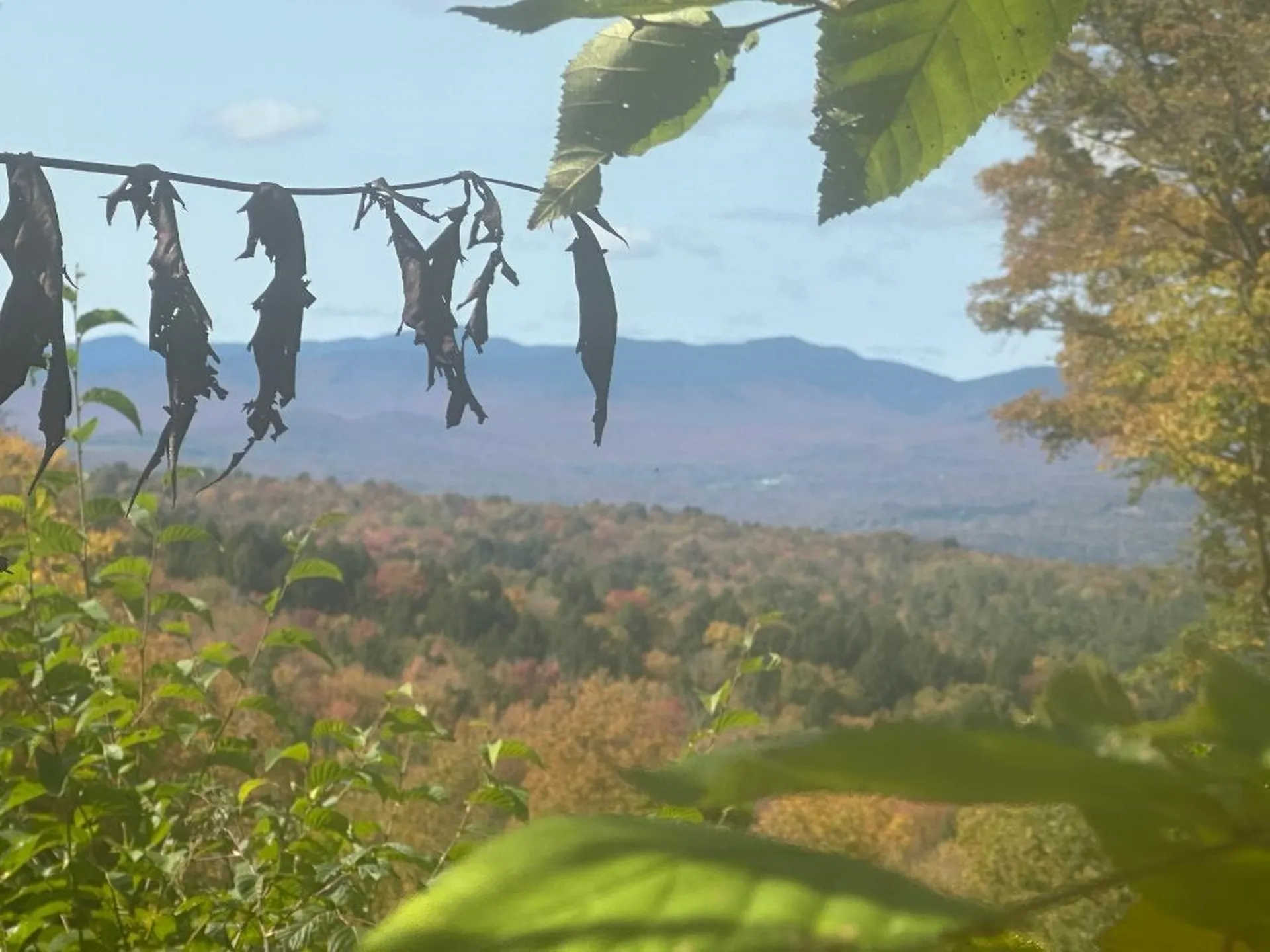 0 Brookview Lane Wolcott VT 05680