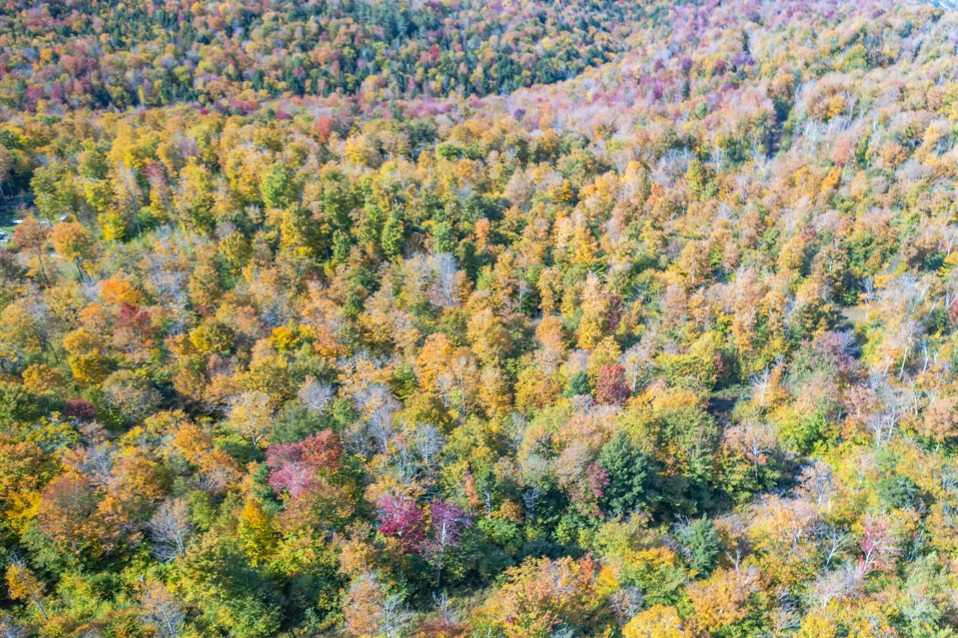 0 Brookview Lane Wolcott VT 05680