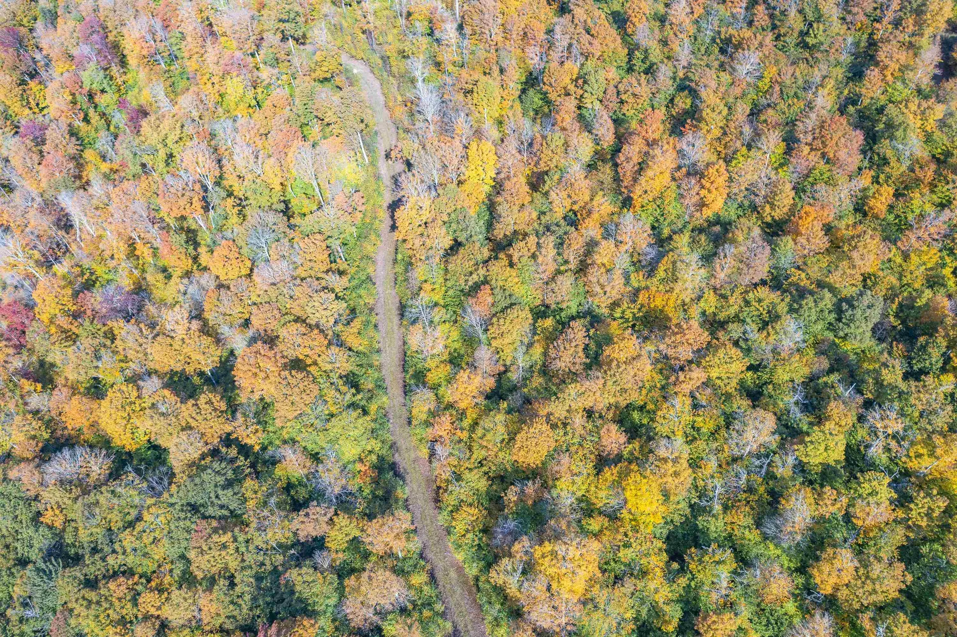 0 Brookview Lane Wolcott VT 05680