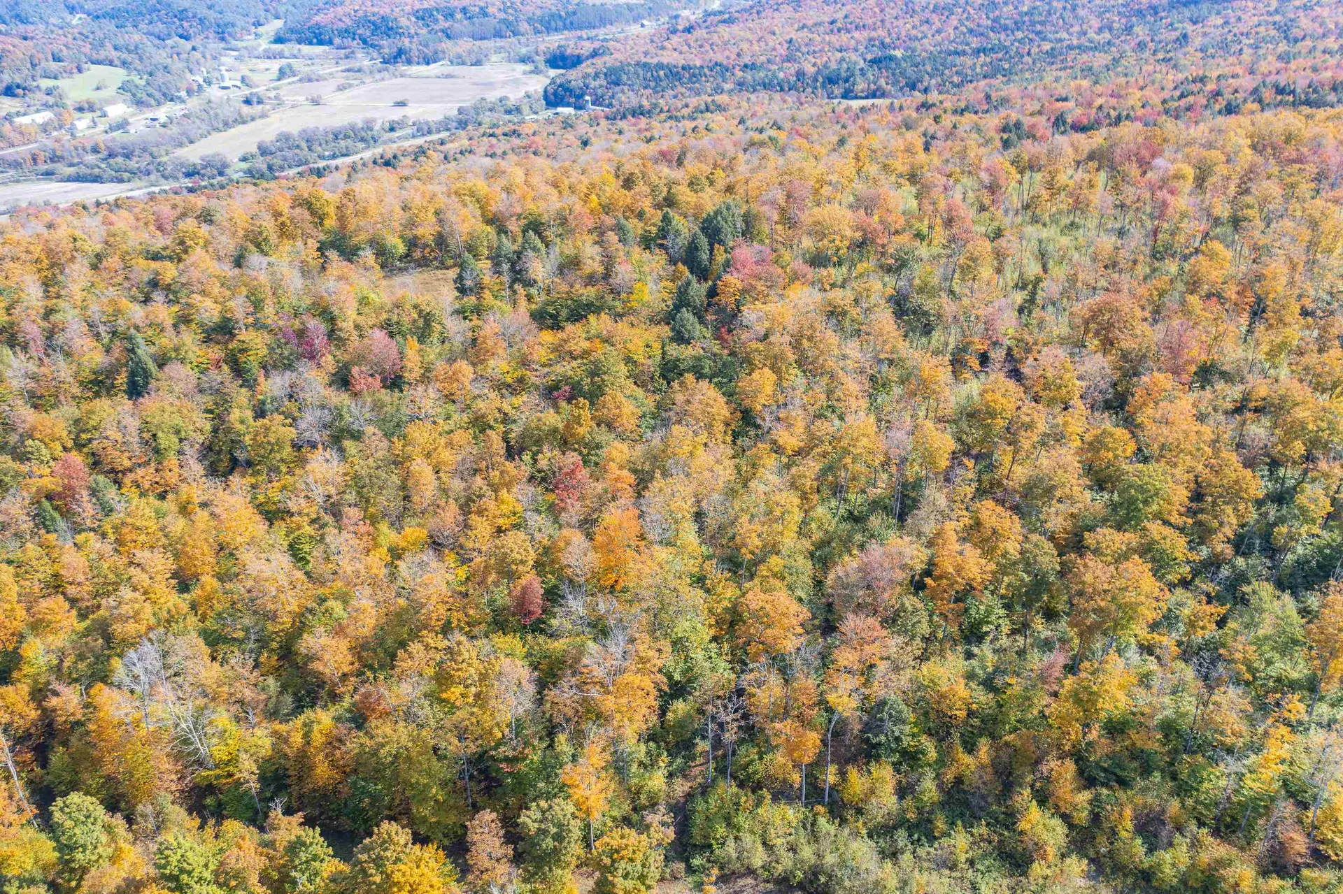 0 Brookview Lane Wolcott VT 05680