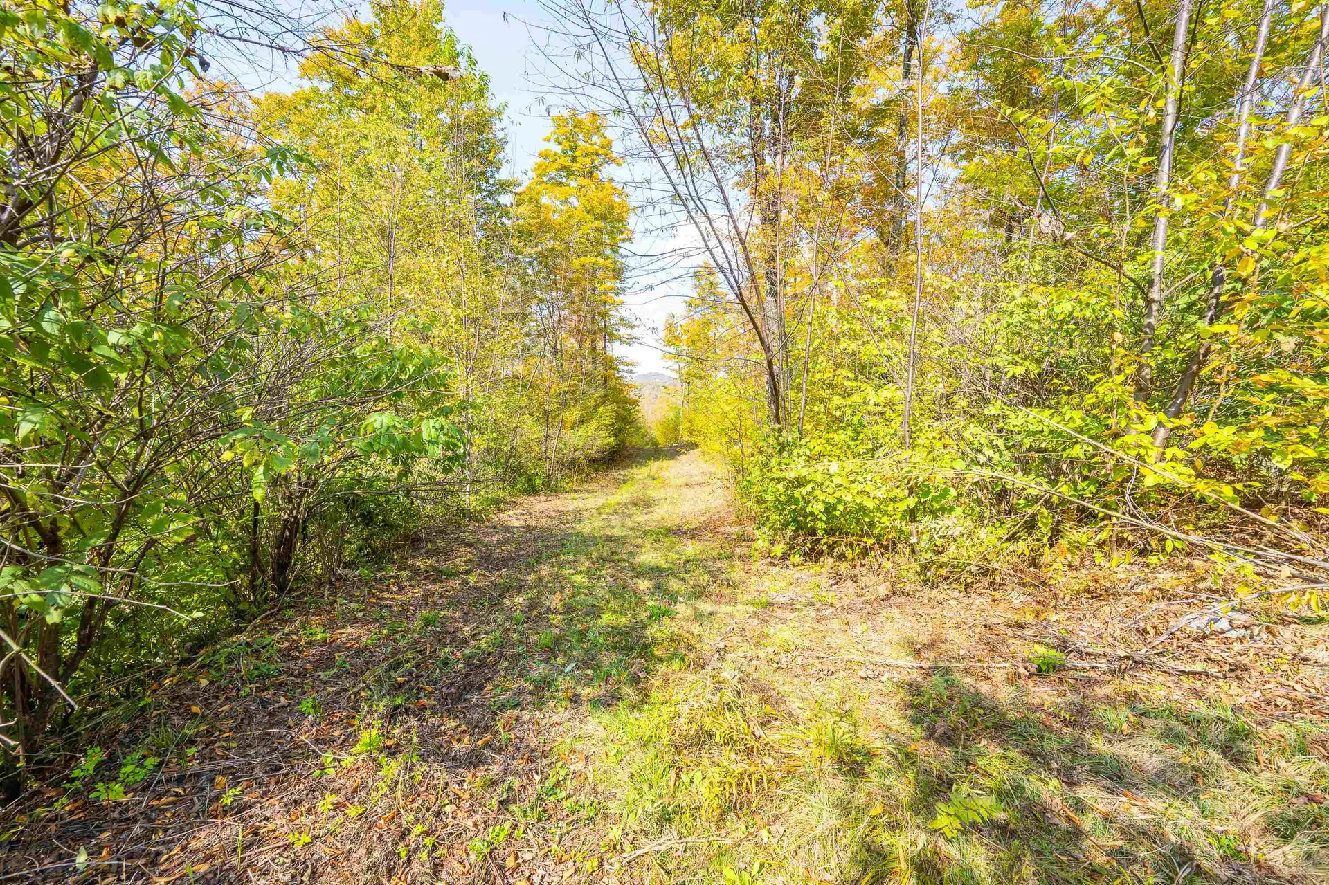 0 Brookview Lane Wolcott VT 05680