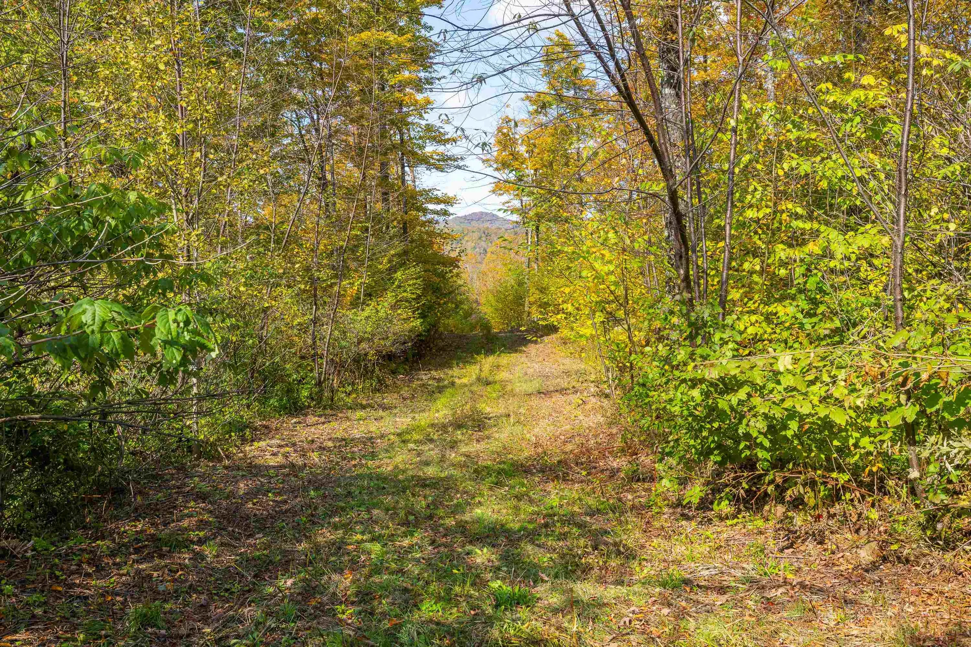 0 Brookview Lane Wolcott VT 05680