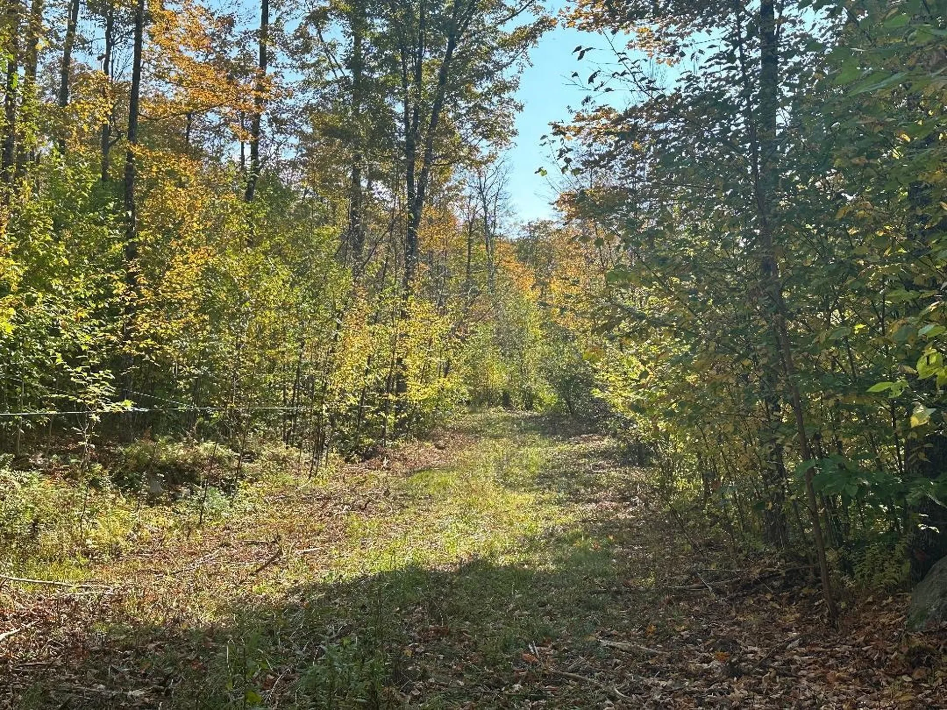 0 Brookview Lane Wolcott VT 05680