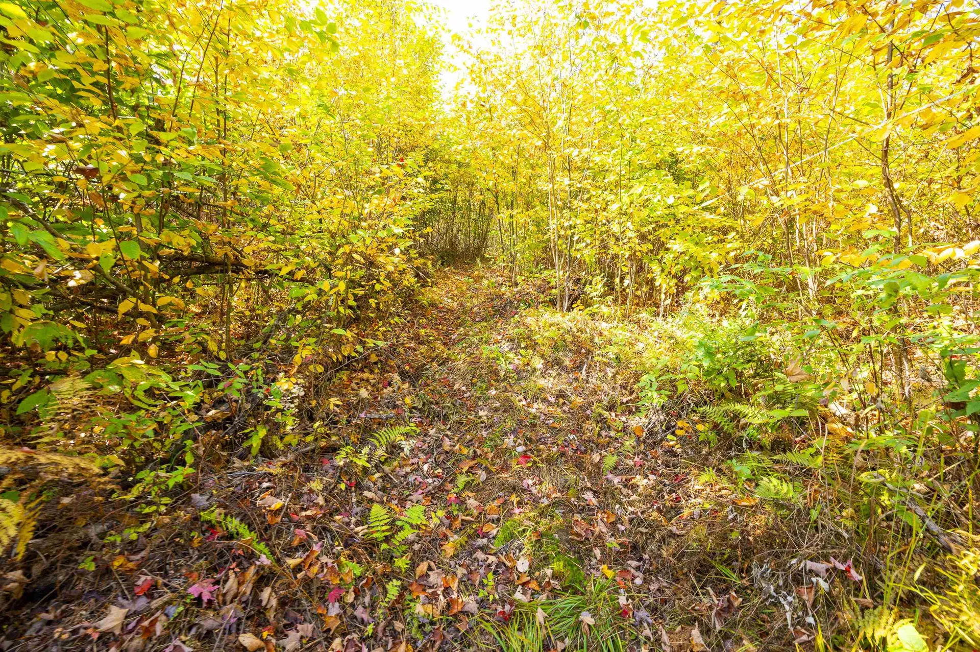 0 Brookview Lane Wolcott VT 05680