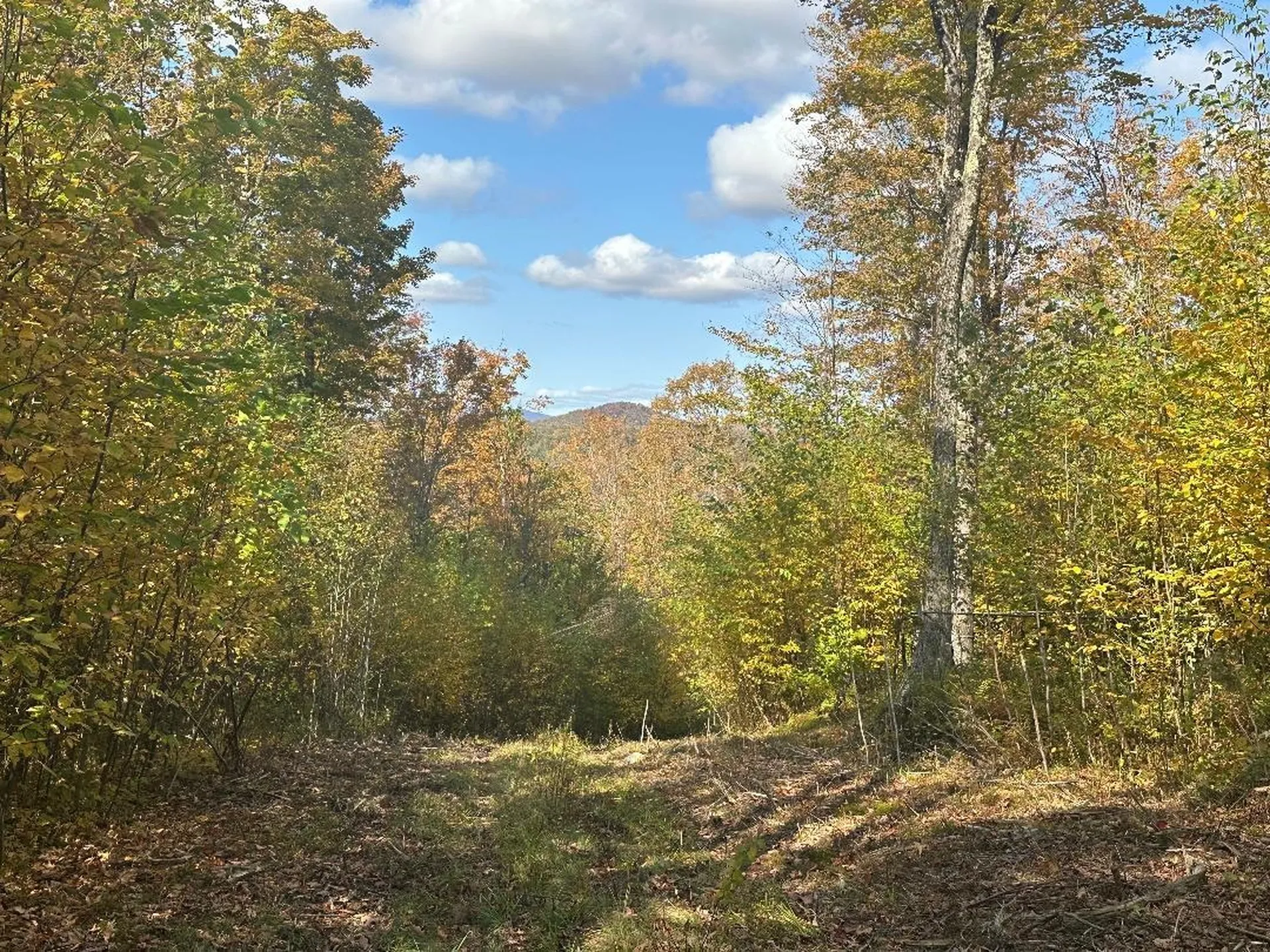 0 Brookview Lane Wolcott VT 05680