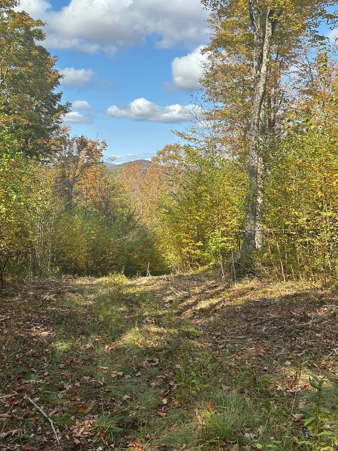 0 Brookview Lane Wolcott VT 05680