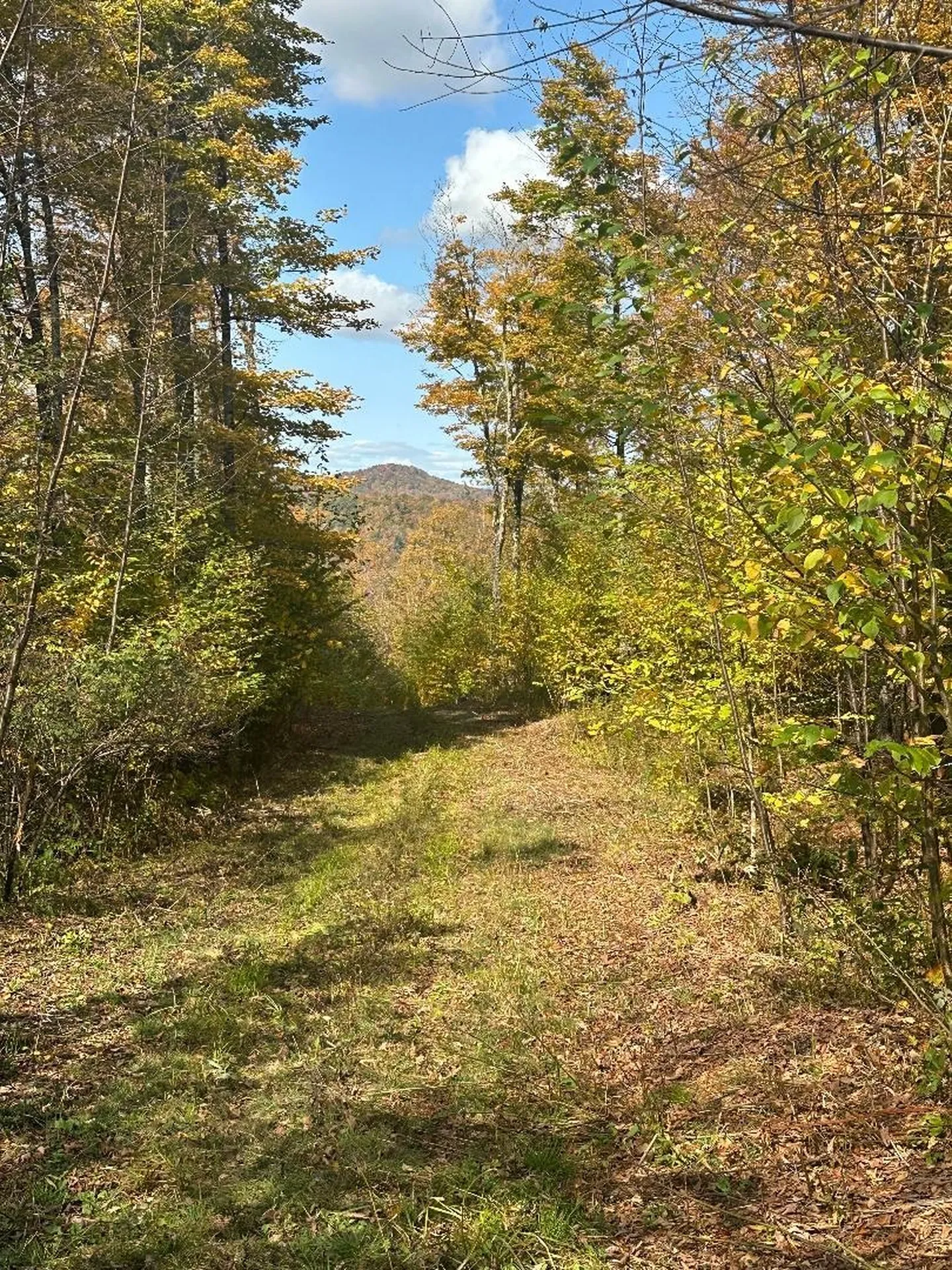 0 Brookview Lane Wolcott VT 05680