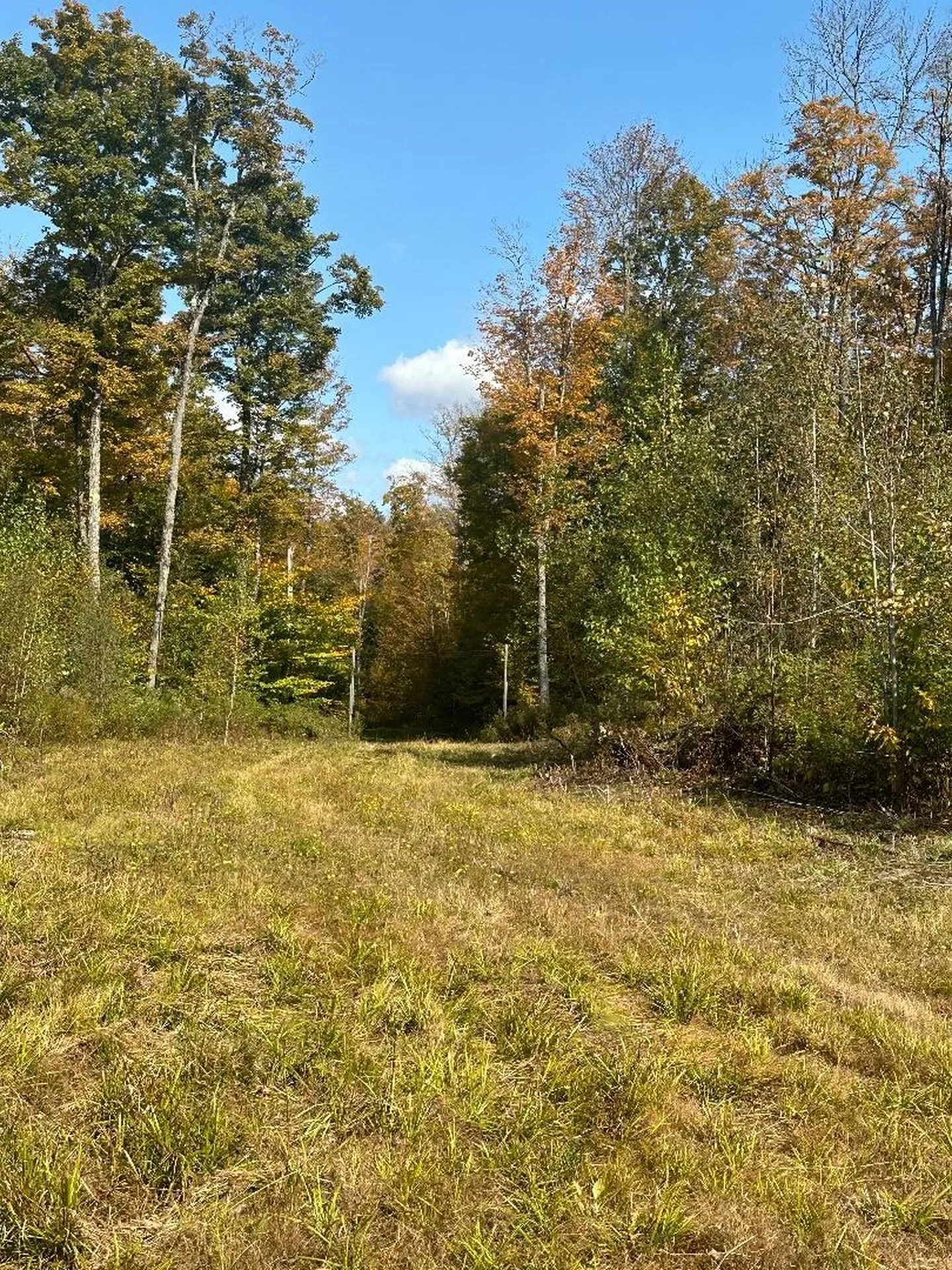 0 Brookview Lane Wolcott VT 05680