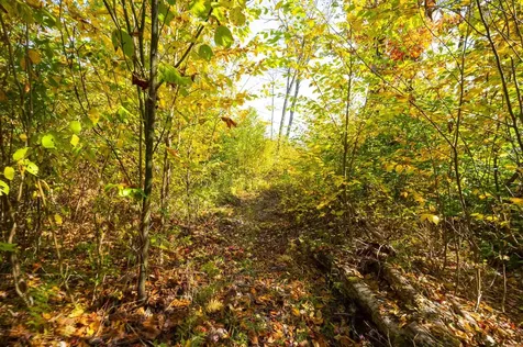 0 Brookview Lane Wolcott VT 05680