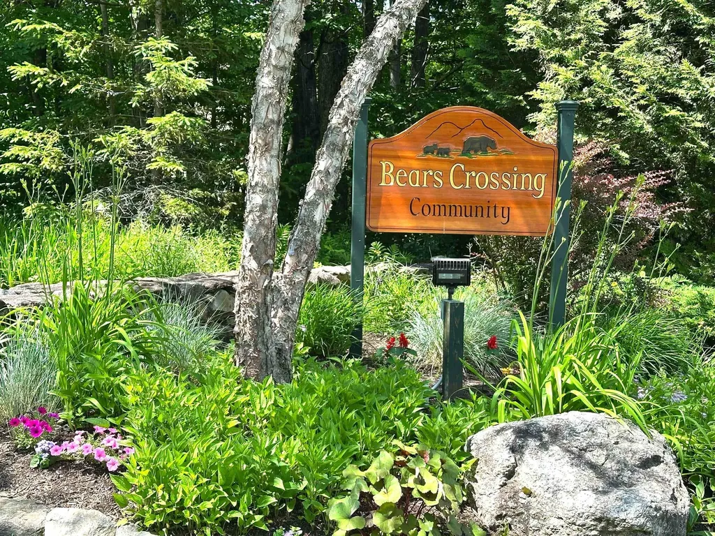 5E Polar Bear N Dover VT 05356