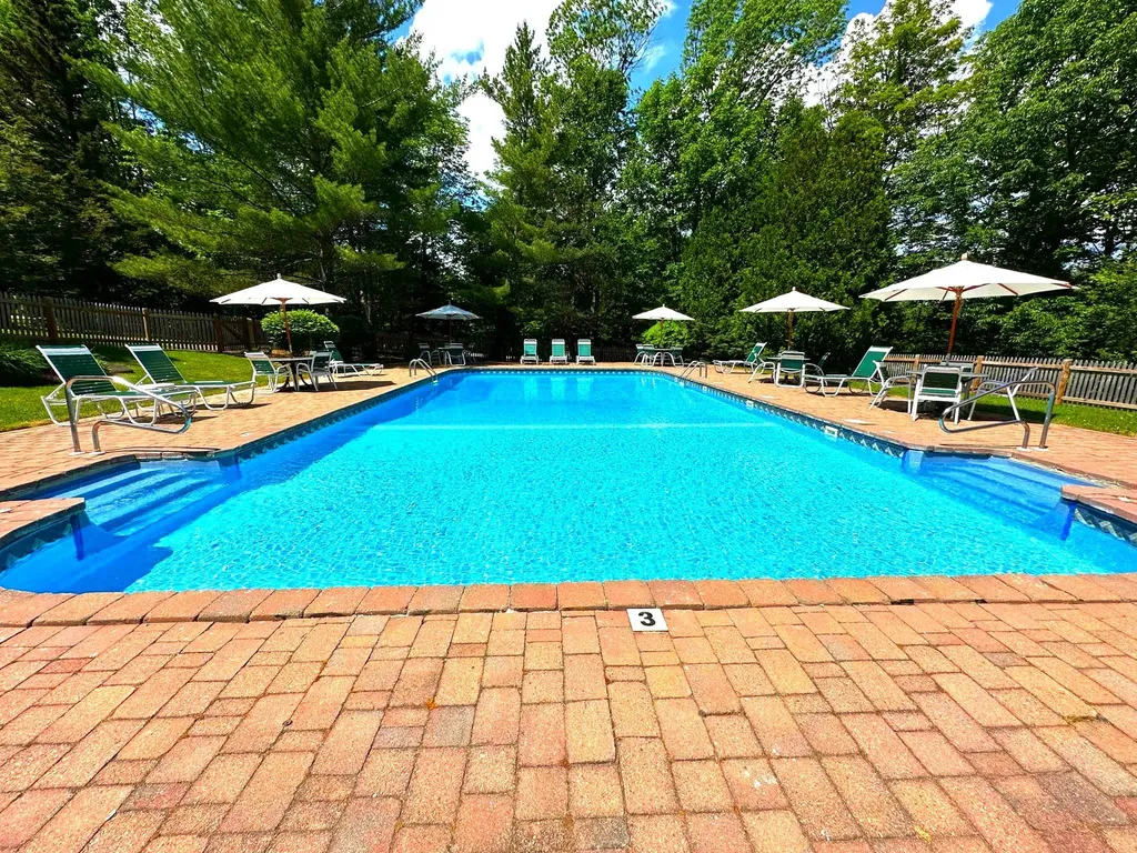 5E Polar Bear N Dover VT 05356