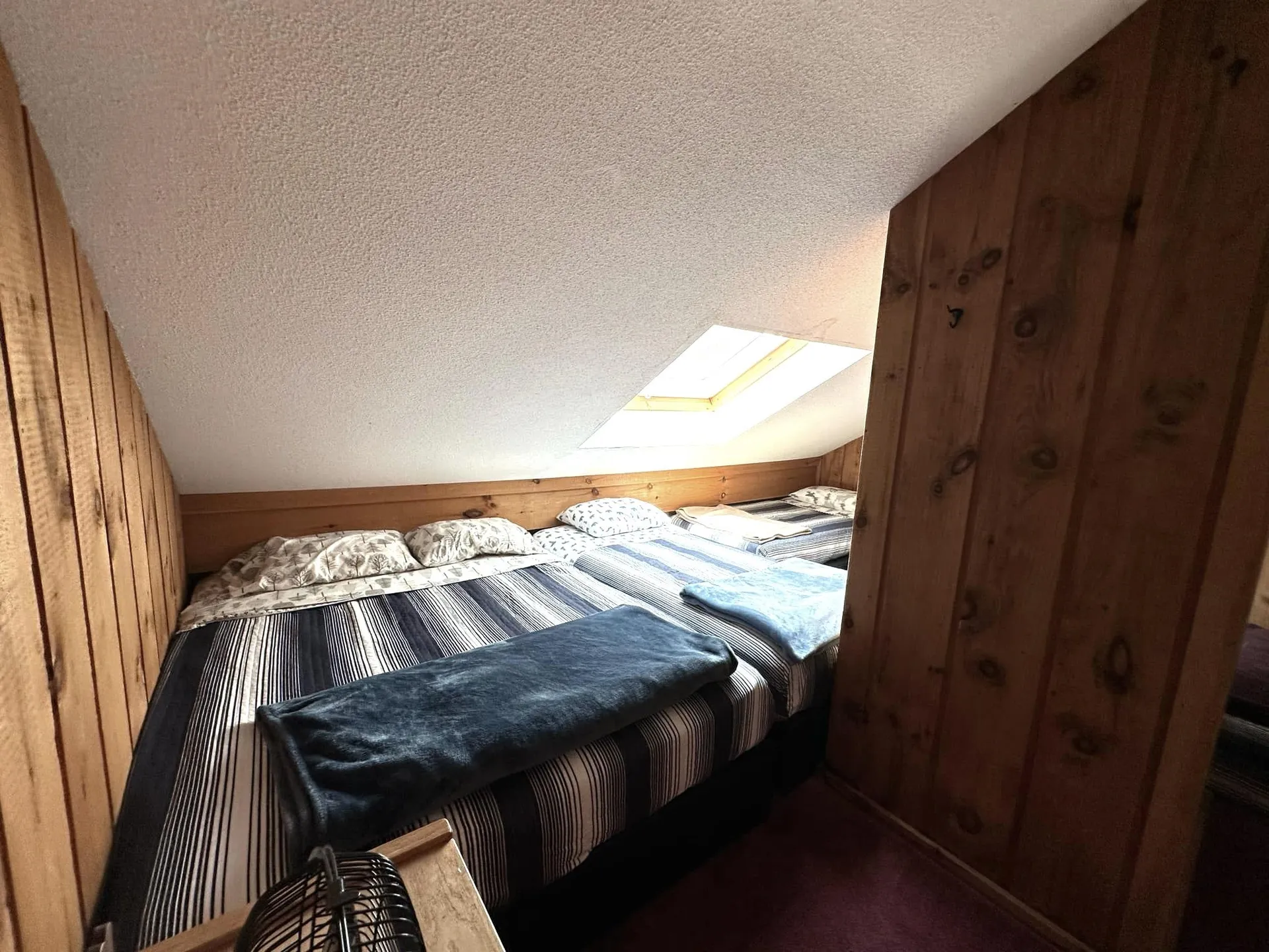 5e Polar Bear N Dover VT 05356