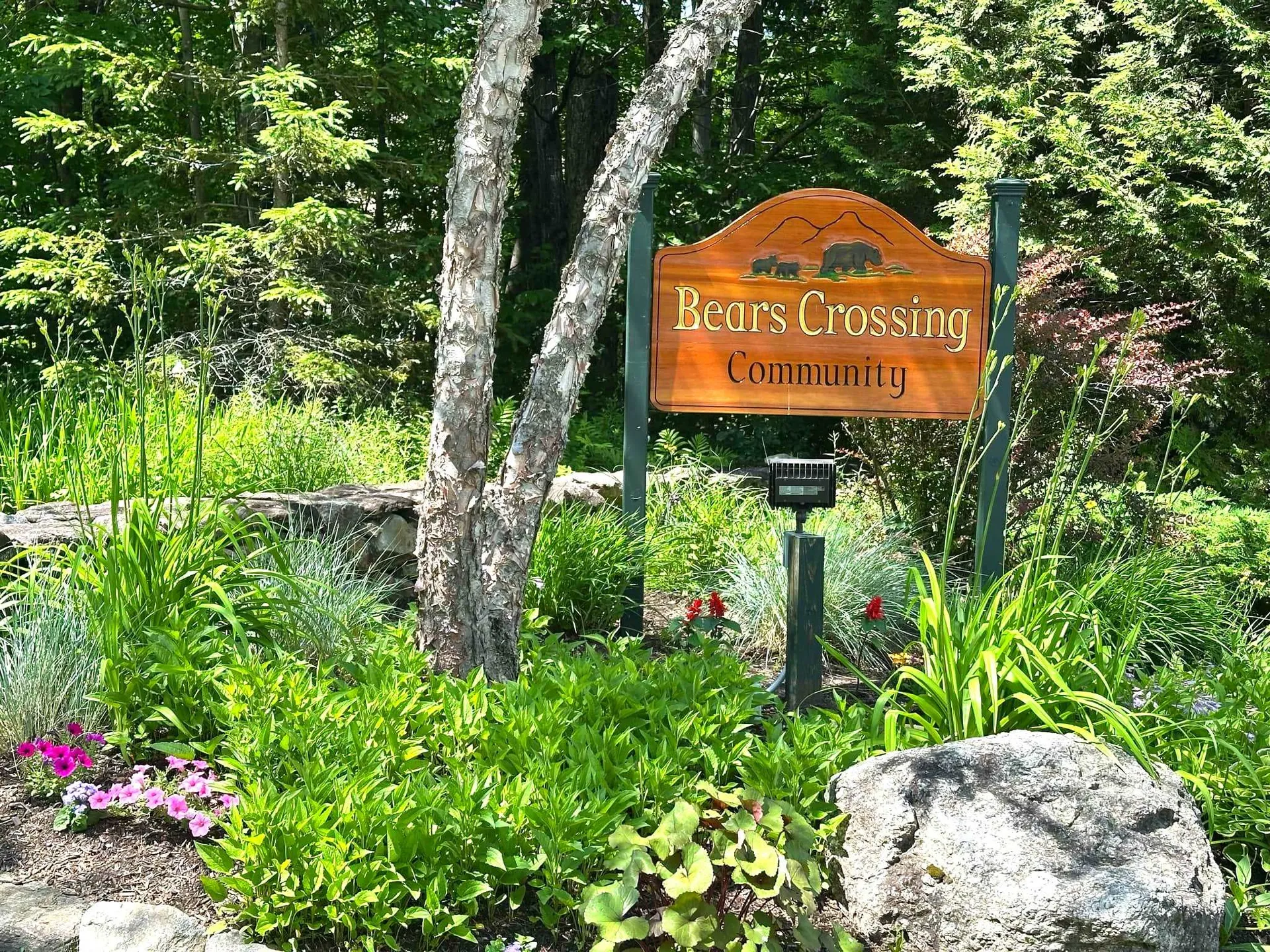 5e Polar Bear N Dover VT 05356