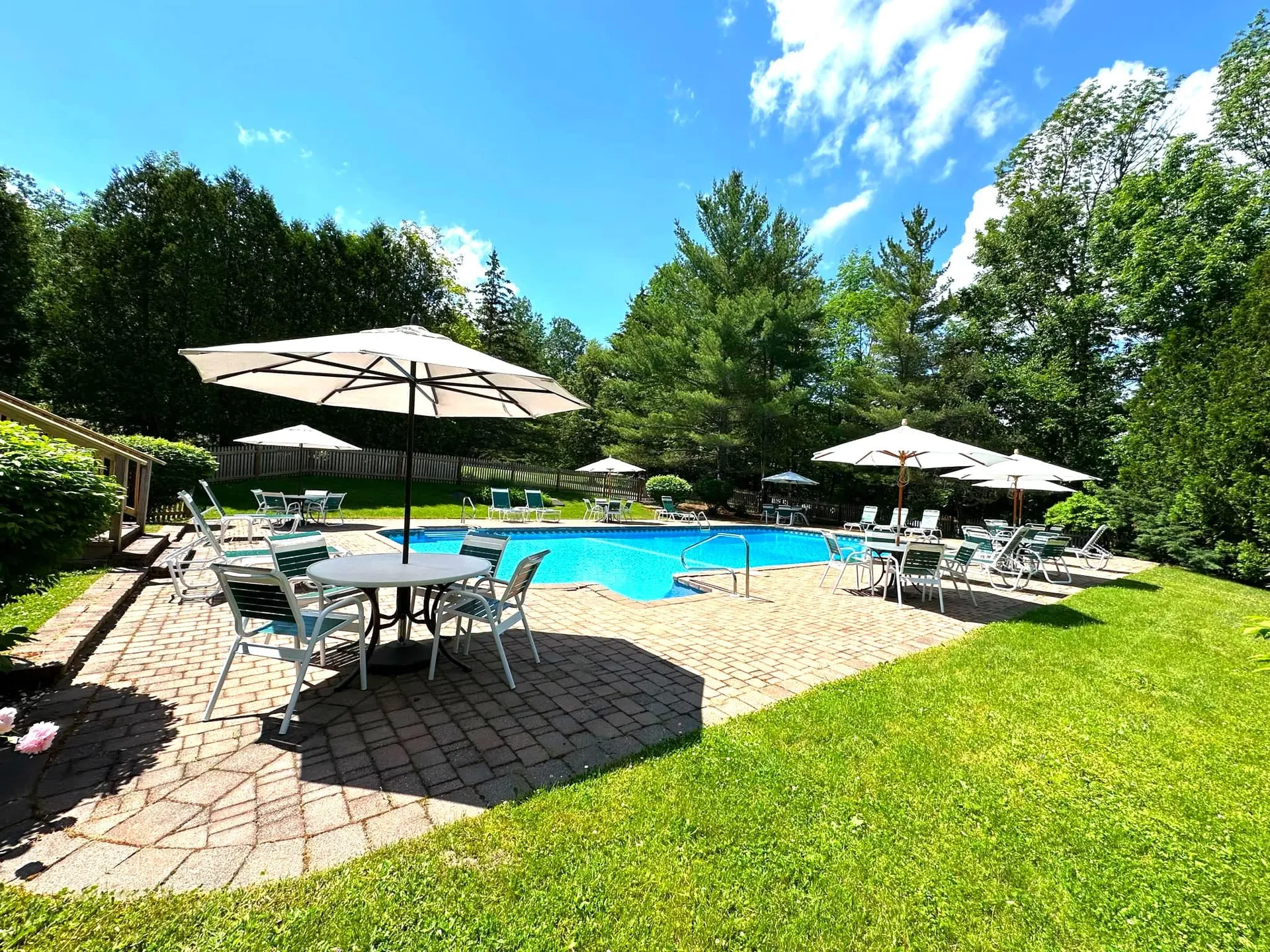 5E Polar Bear N Dover VT 05356